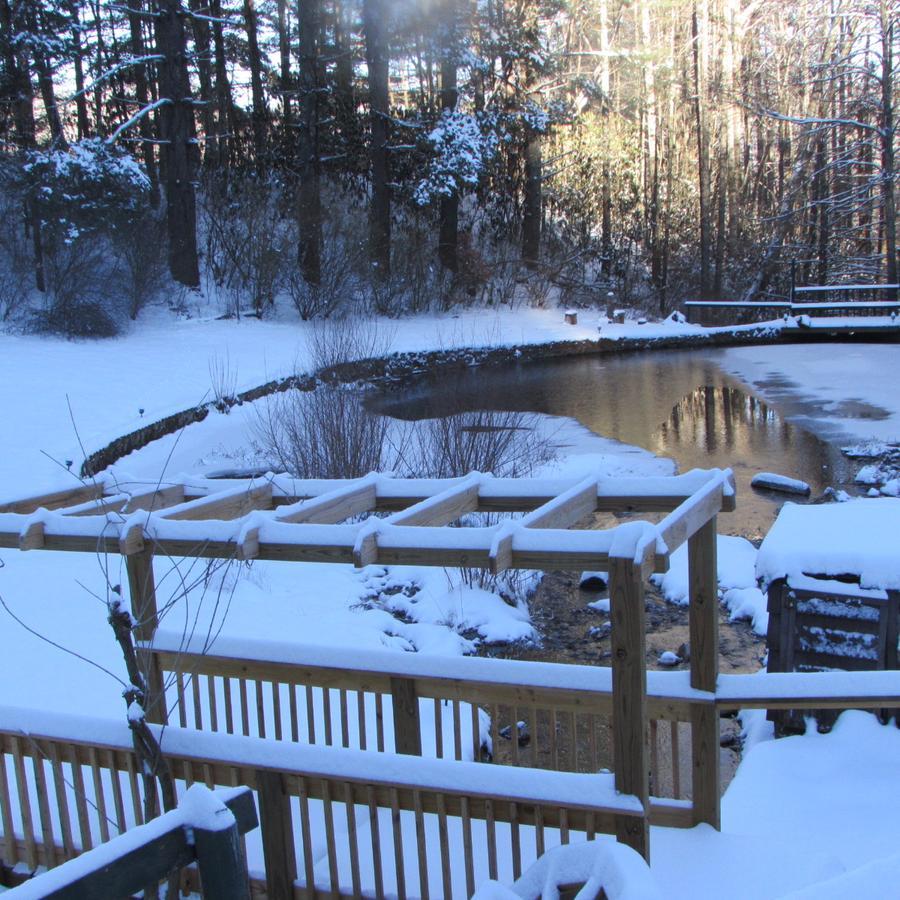 Red Leaf River Inn Уейнсвил Екстериор снимка
